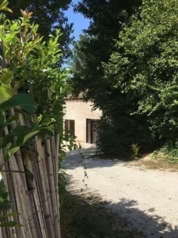 Apartment Dans Les Bois *